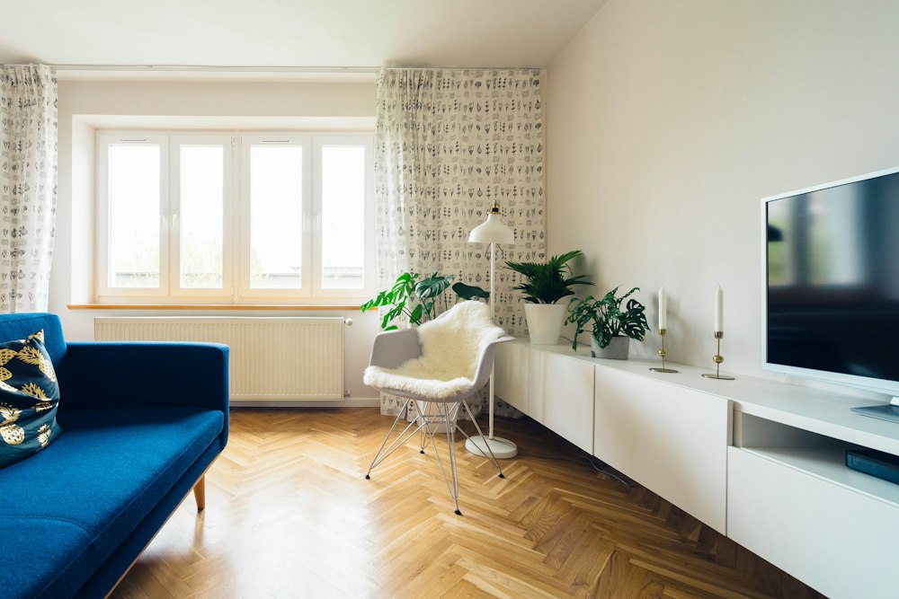 Cozy apartment living room